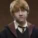 Rupert Grint reflete sobre possível retorno como Rony Weasley